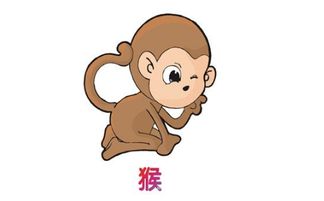 2016属猴人全年运势男(2016年属猴人的全年运势)