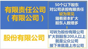 相对于一般有限责任公司，一个人公司有哪些特殊性