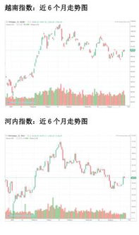 越南VN指数下跌1%，收报1232.93点。