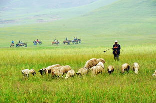 7月22 24日 纵马欢歌大草原,相约闪电湖 篝火狂欢送烤全羊