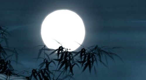 海上月是天上月丨论 月 意象在诗词中表达的意象有哪些