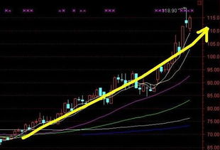 股票的副老总被查了。股票会不会大跌。600019宝钢