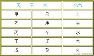 八字天干五合代表什么意思