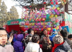 春节北京哪里逛庙会