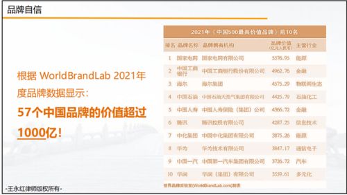 活动回顾 8月6日线上公益分享之企业知识产权保护与风险防范策略之品牌自信