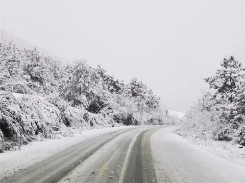 下雪 结冰 云南多条道路交通管制