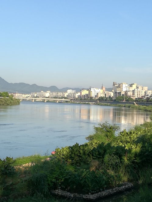 江西吉安遂川县(江西吉安遂川县邮政编码)