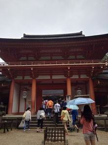 稻荷神社鸟居手机壁纸 图片搜索