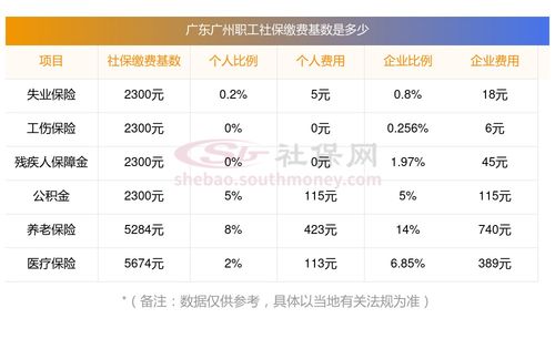 广州个人缴纳社保怎么交(在广州怎么交养老保险费)