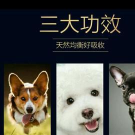 图 全国批发猫粮狗粮 北京宠物食品 用品 