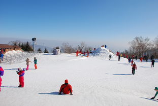 亚布力哪个滑雪场最好 (亚布力滑雪场排名)