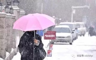 小雪 已至,东南汽车邀您智享新车生活