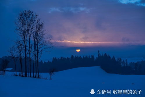 当射手座在遇上 坏情绪 时,ta们的大脑会以什么样的形式处理