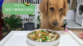 猛狗做梦在吃奶