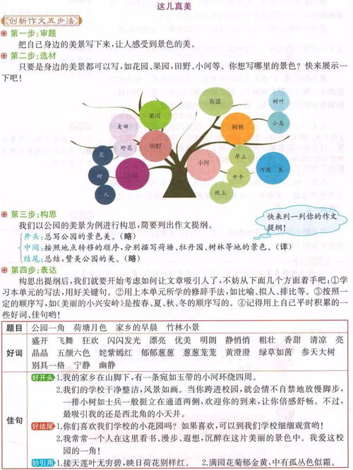 三年级这儿真美300字作文大全