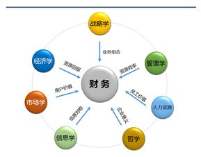 企业财务部门的基本职能有哪些?