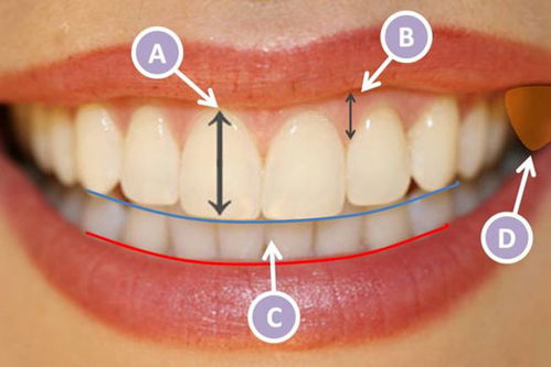 李金津医生 牙科医生简介 网上预约挂号 牙齿修复案例 牙齿美白案例 