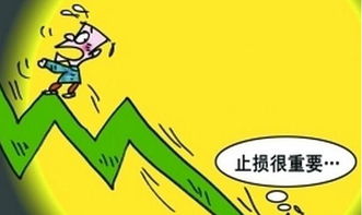 股民 要是不止损 我的100万早已经变1000万了 