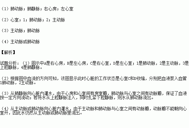 如图为心脏工作某一时刻的示意图.根据图示回答下列问题. 1 写出以下结构名称 , , , . 2 图示的心脏工作中.左.右 