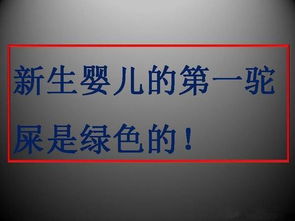 10个冷知识,课本上绝对学不到 看完吃惊了 