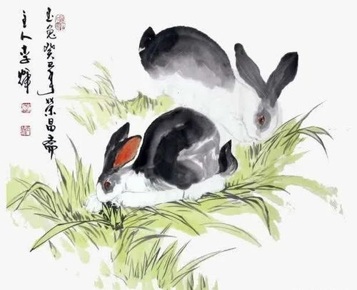 书画联盟丨国画兔子的技法大全