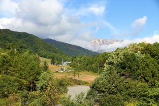 日本红叶季,小众白马亲子游 