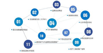 互联网运营必备的大局思路 