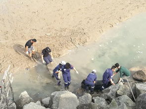 厦门离海岸约60米外有人陷在淤泥中,可惜救援队找到时已...