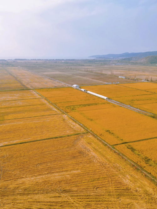 苏州太湖西山风景区,踩雷攻略 