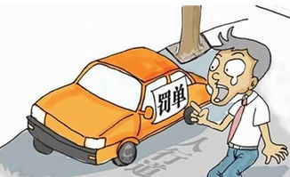 买起车养不起,养车一年多少钱