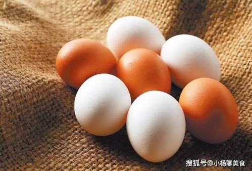 红壳蛋 和 白壳蛋 有什么区别 很多人不懂,看完涨知识