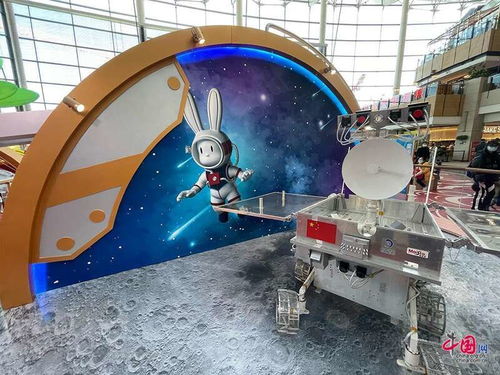 官宣 中国探月航天太空兔正式命名为 兔星星 和 To star