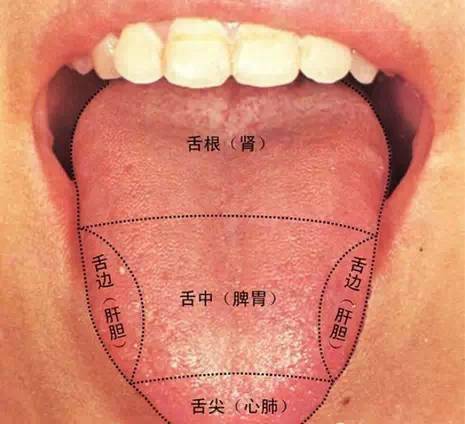 看舌头知健康,让你轻轻松松当医生