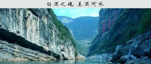 曹操为什么说‘天下英雄，唯使君与曹 尔’