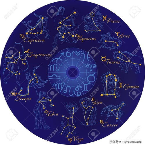 12星座新月许愿指南