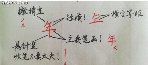 关于投入的名言_练好基本功的格言？