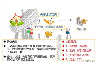 期权的概念和运行