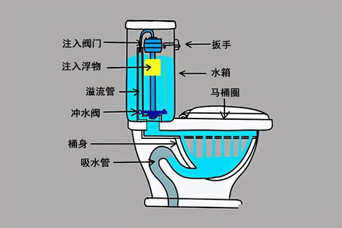 什么是虹吸现象