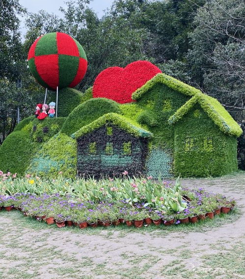 周末去成都植物园,赏花拍照听音乐,最佳观赏时间攻略