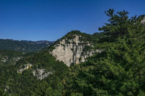 道教名山 道教名山青城山位于哪座城市?