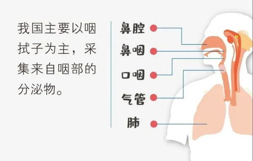 关于核酸检测,看这一篇就够了丨思客问答