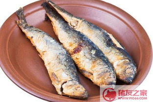 海青鱼怎么做好吃 海青鱼为什么便宜 