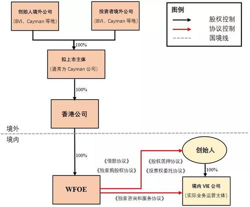 如何评价vie结构在中国的发展