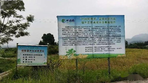 在临高的你想创业吗 好项目与您分享 要懂得抓住风口哦