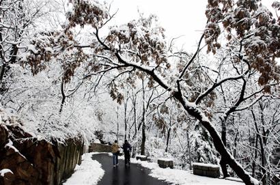 有关于皑皑白雪的诗句