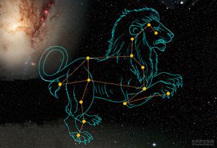 七月狮子座星座分析图的简单介绍(七月份是什么星座啊 )