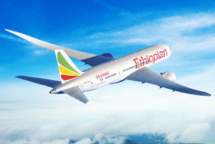 埃塞俄比亚航空公司怎么样(埃塞俄比亚航空官网)