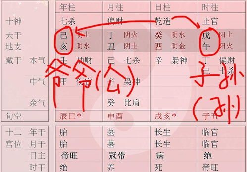 公孙同类,家族兴旺 年柱和时柱相同的八字有什么好处