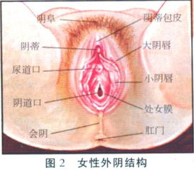 图组 女人高潮来临时的身体表现