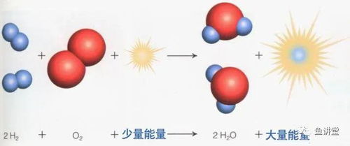 彻底搞清楚溶解氧